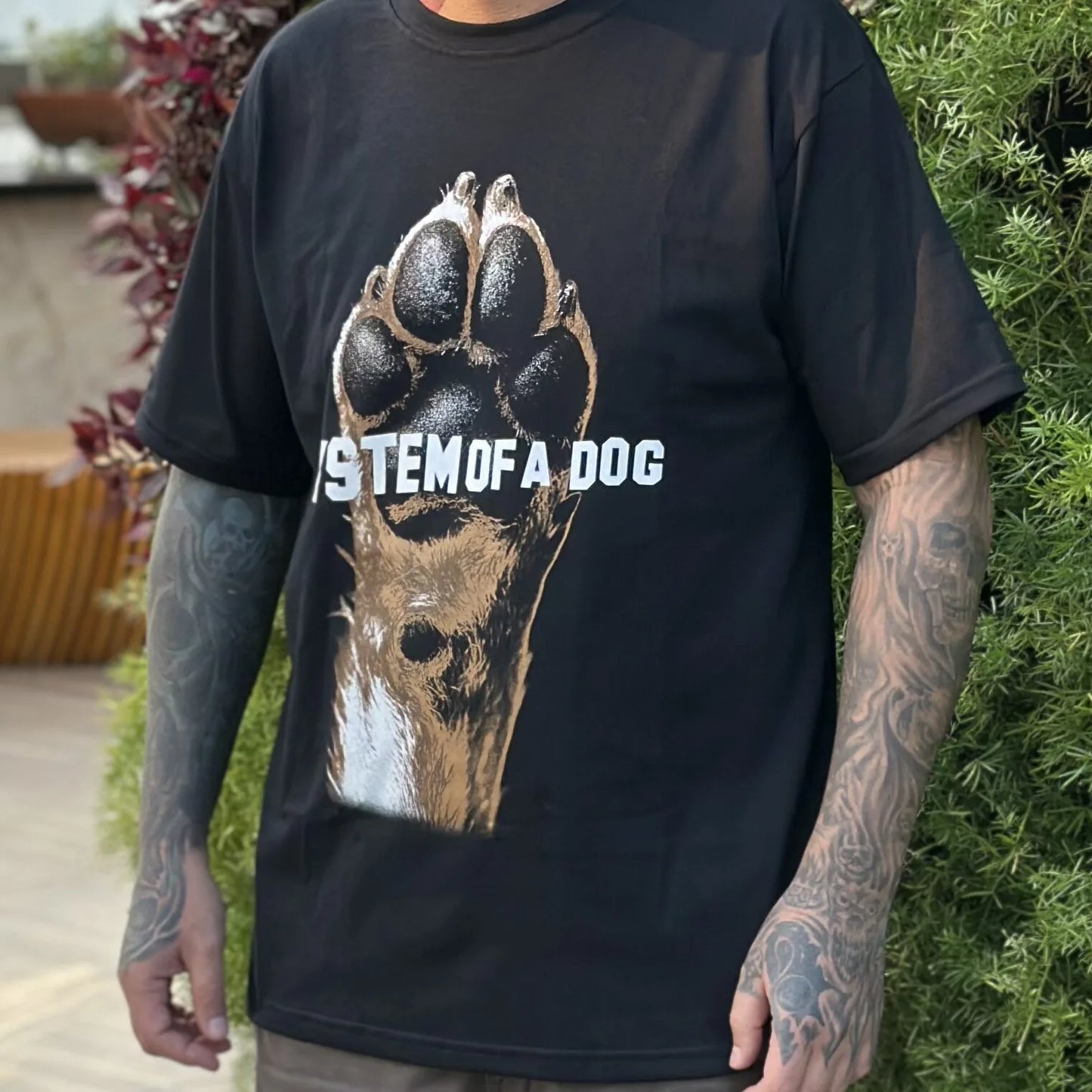 Camiseta System of a Dog