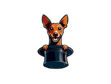 @imaginedogsoficial